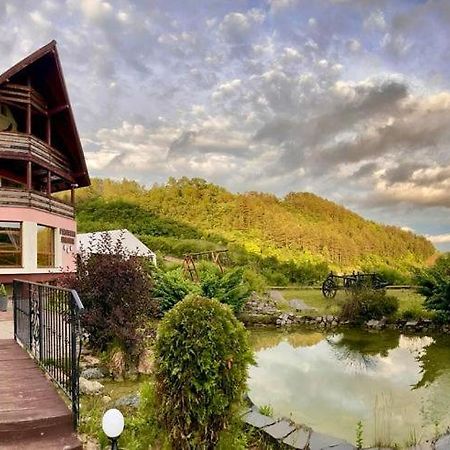 Pensiunea Armonia Nădăşelu Zewnętrze zdjęcie